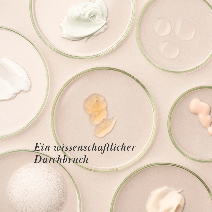 Ein wissenschaftlicher Durchbruch