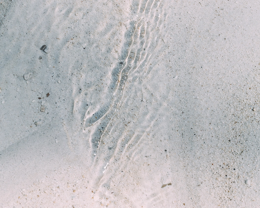 Silent water reflections