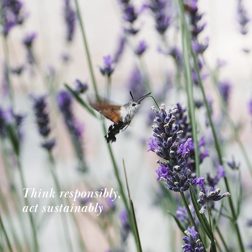 Dr. Spiller Nachhaltigkeit