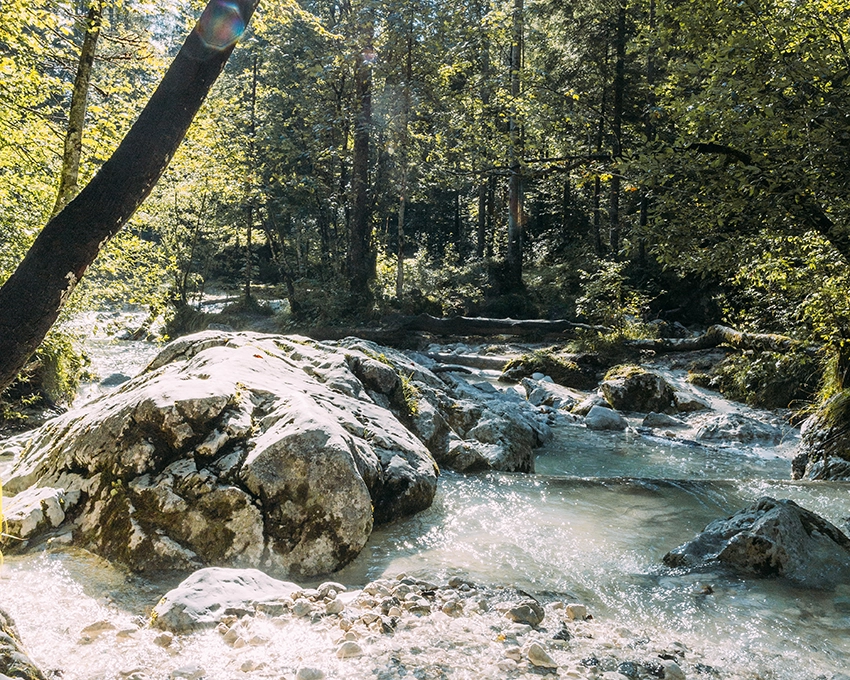 Mountain stream in the forest in sunlight